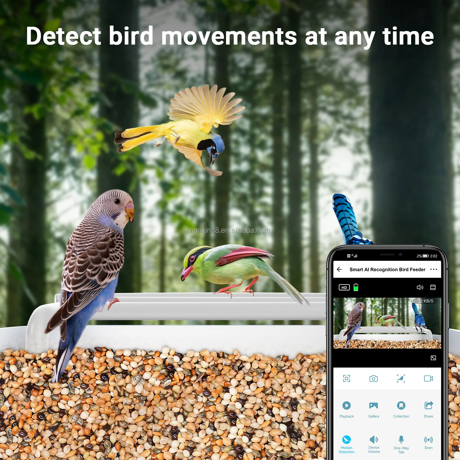 WIFI Smart Bird Feeder with Camera Free AI identification Bird Camera Control by Bird Lover APP