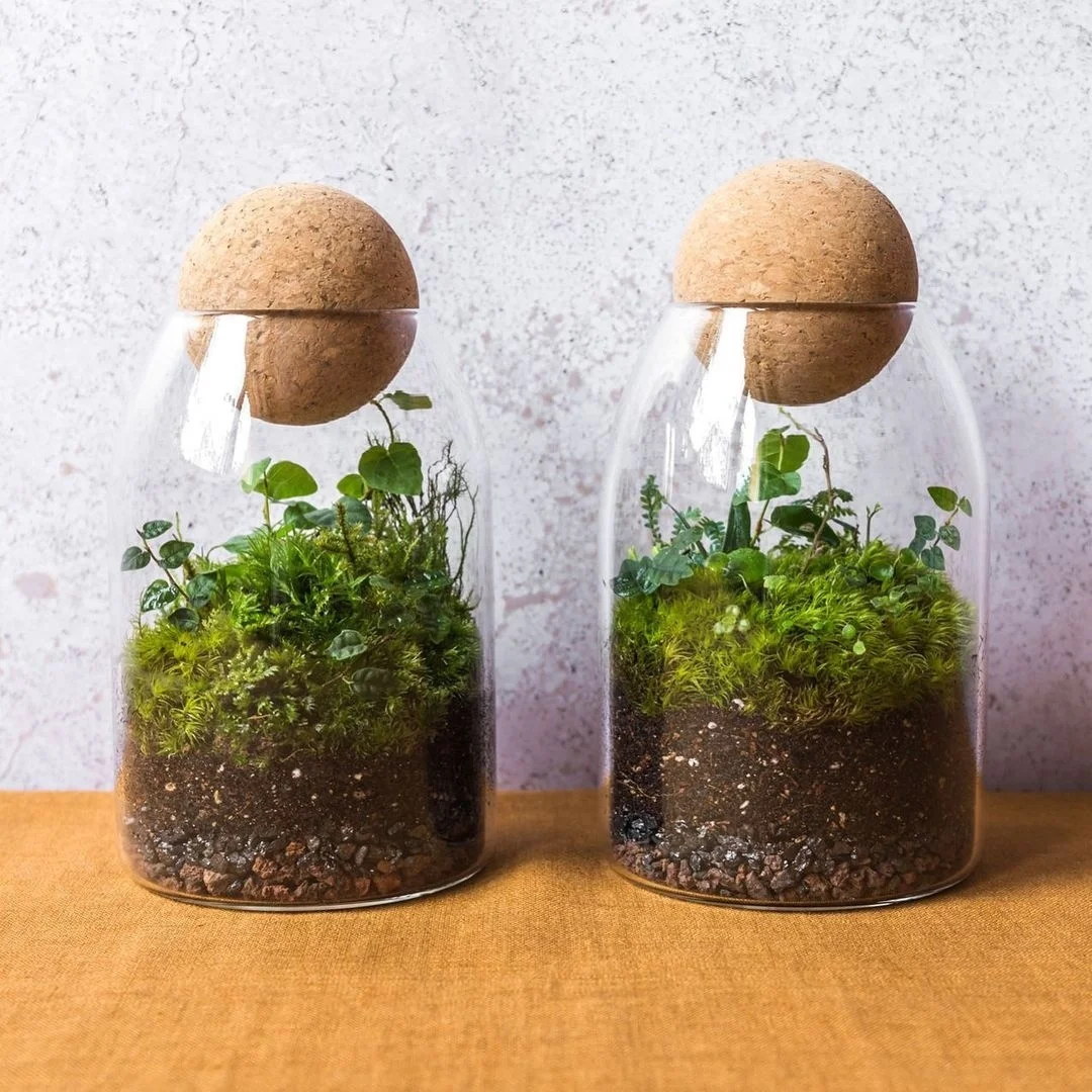 Creative terrarium hydroponic plant vase succulent pot container