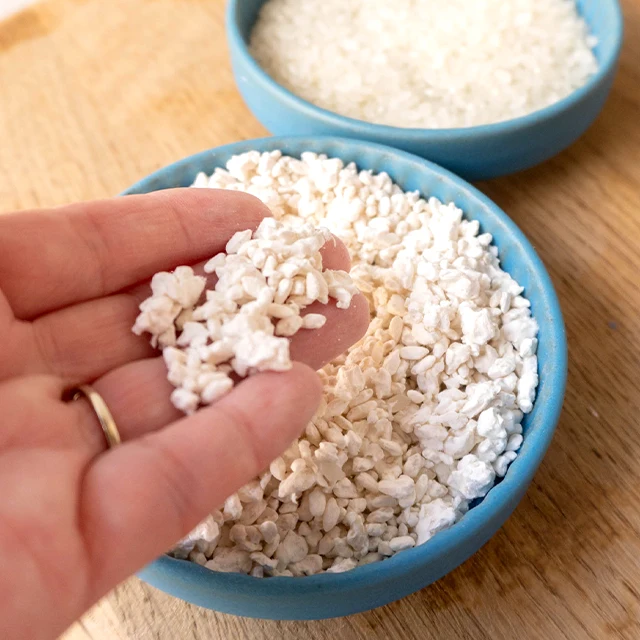 Anti aging nutritional healthy rice malt food mixed spices seasoning
