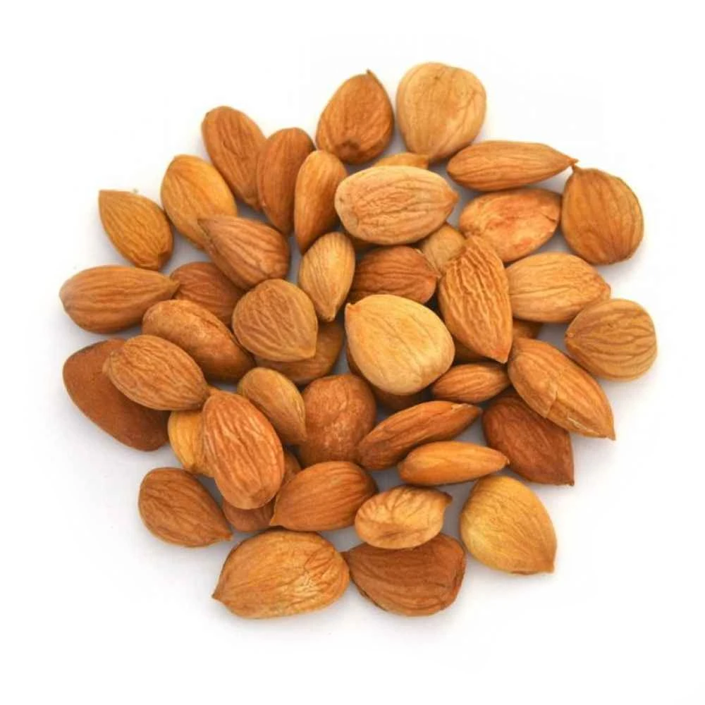 High grade Wholesale Natural Bulk Apricot kernels from Uzbekistan manufacturer Non-GMO Apricot pits