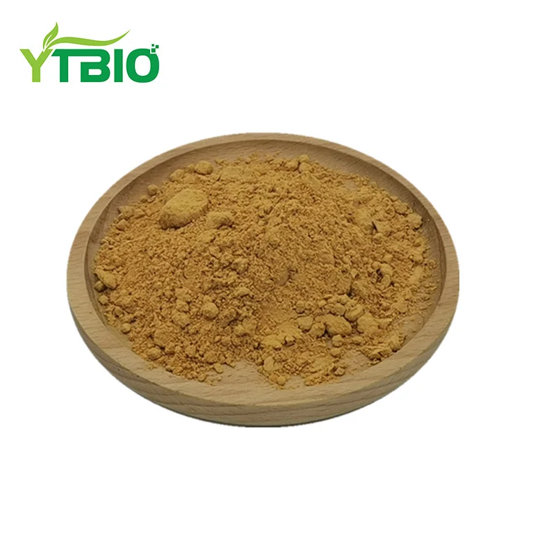 
Honeysuckle Flower Extract/Lonicera Japonica Chlorogenic Acid 98% 