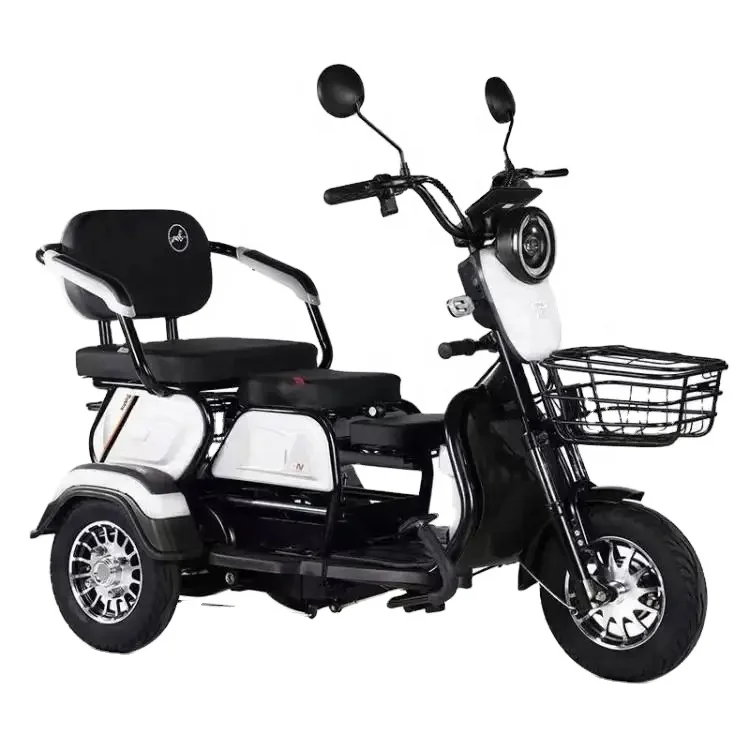 600W/800W Power 3-Wheel Electric Passenger Bicycle 3-Speed Cargo Tricycle with Lead-Acid Battery for Adults