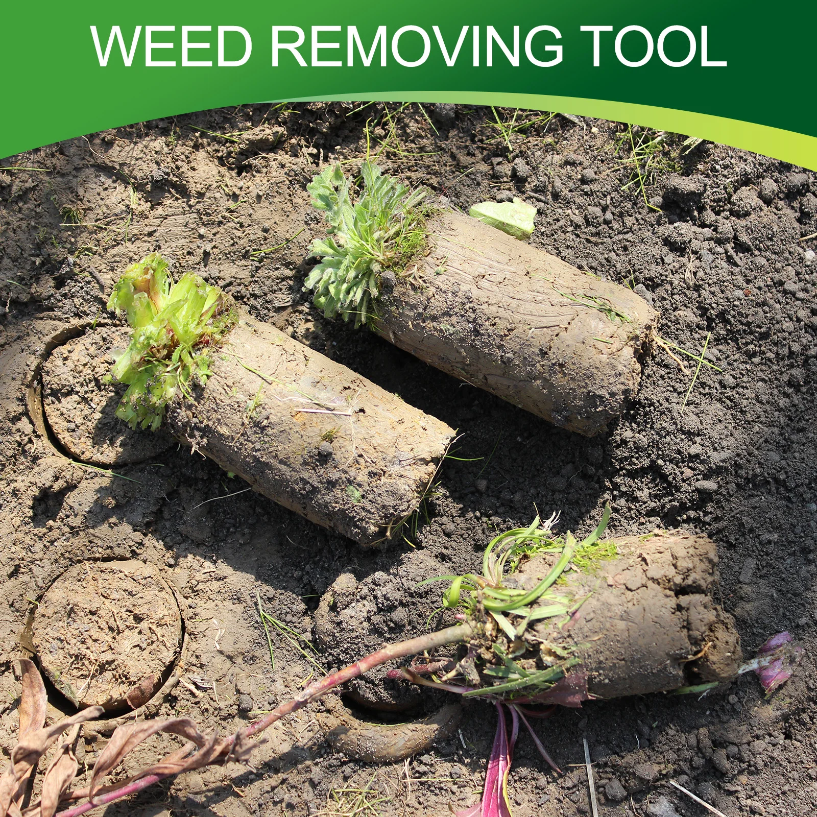 Suitable for Spring Bloomers and Flower Bulbs Planting Efficient Multifunctional Bulb Planter and Bulb Planting Machine