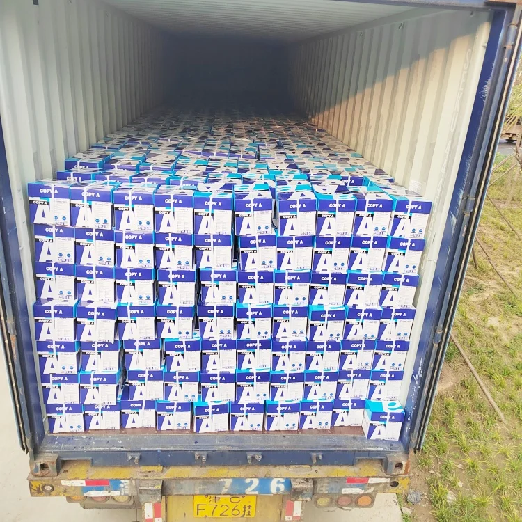 A4 Size Copy Paper for Office Use Office Paper All Kinds