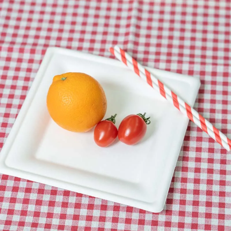 Одноразовые тарелки для сахарного тростника 26 см оптом