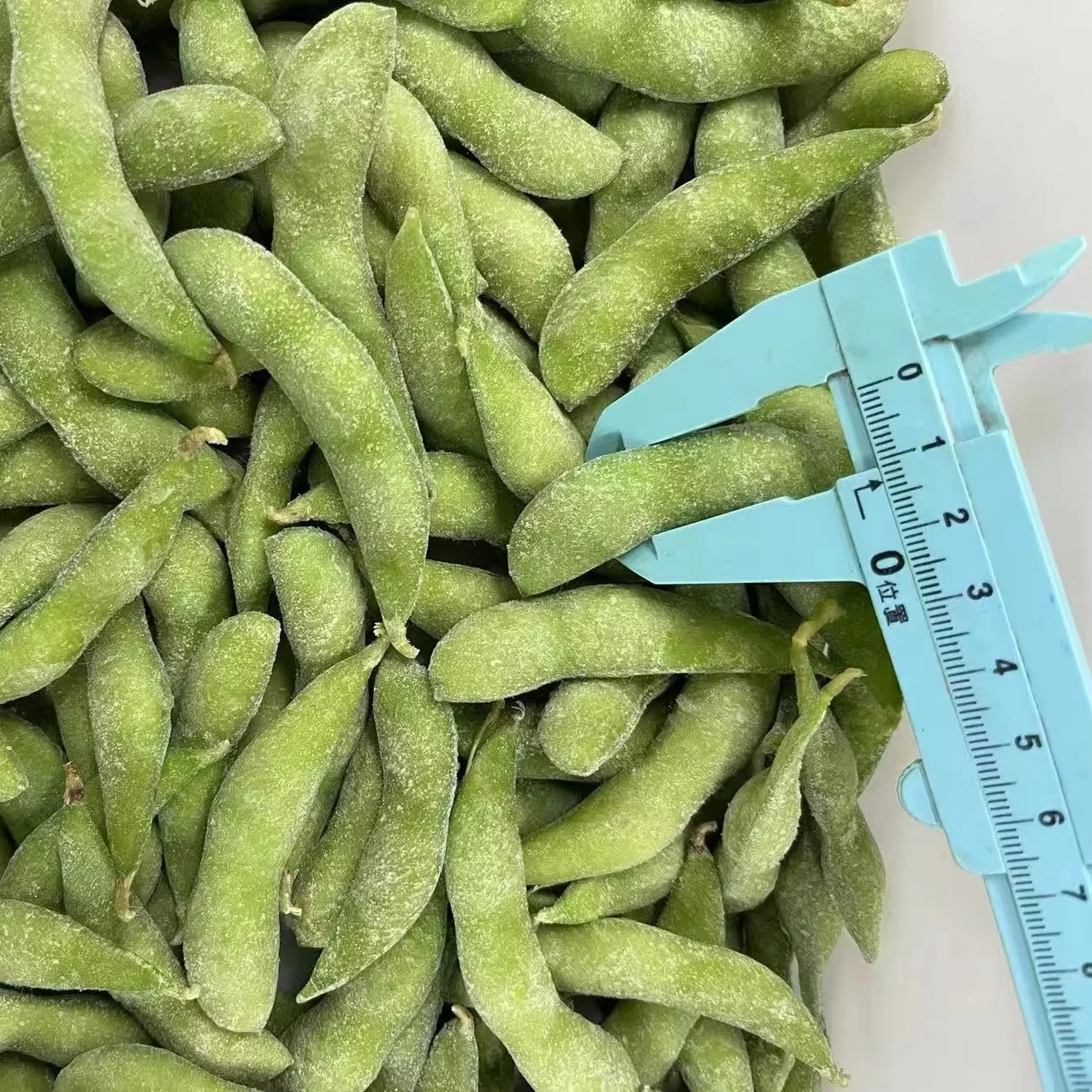 New Arrival Delicious Beans Edamame Gourmet Dietary Fibre Richness in