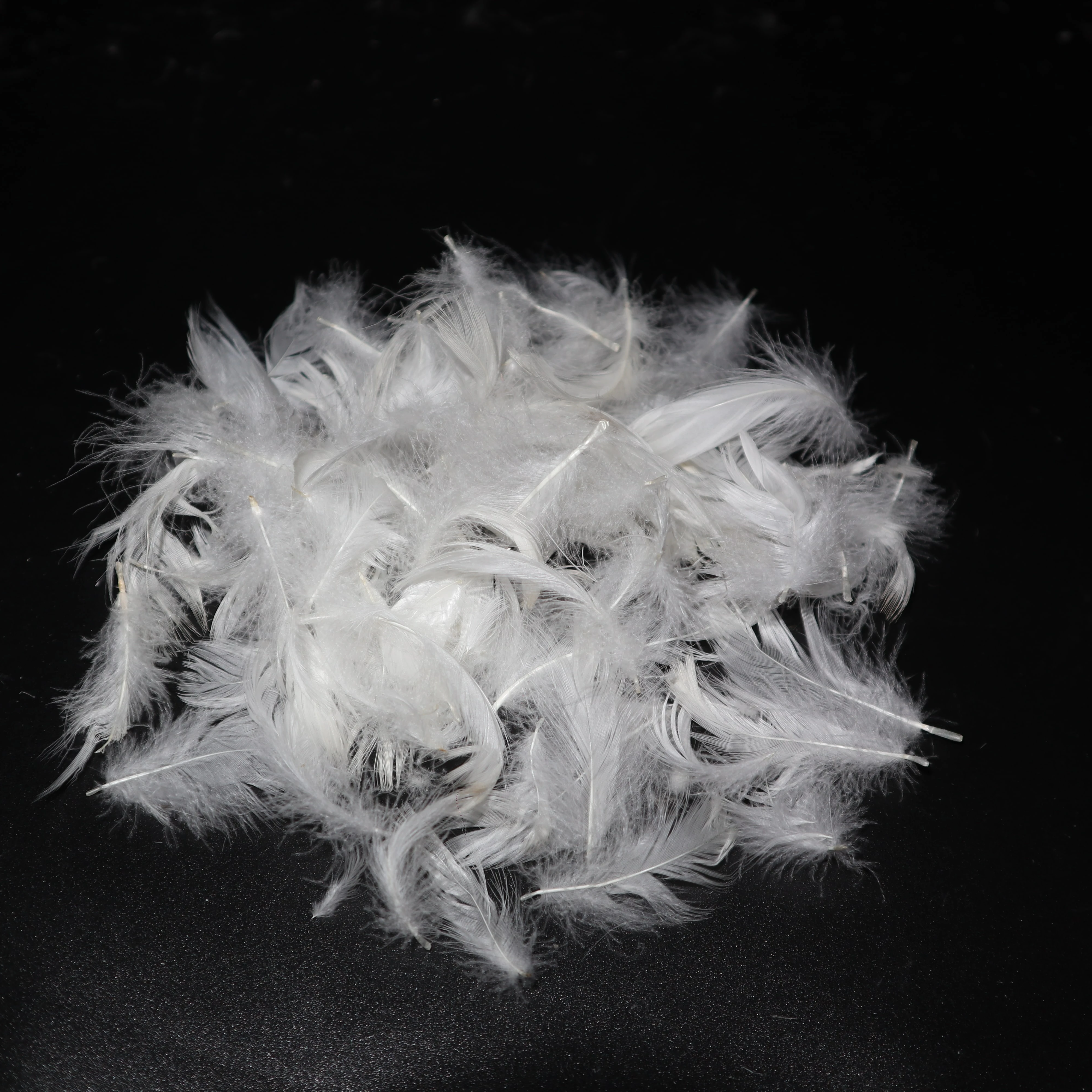 
Washed white duck feather used for blanket and cushion 