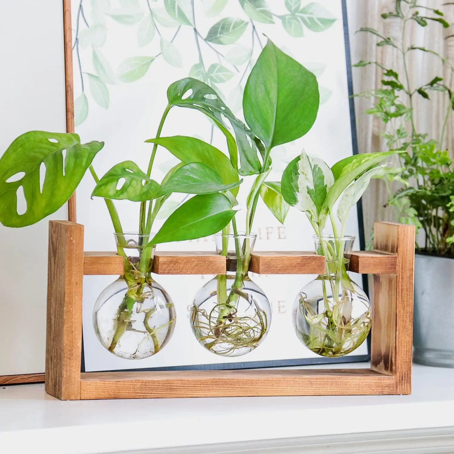 Hot Sale  Wood Plant Holder Glass Plant Bulb Vase with Retro Solid Wooden Stand for Hydroponics Plants Home Garden Wedding Decor