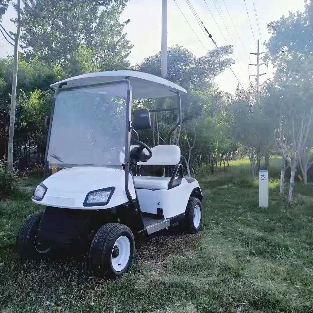 low price mini CE approved China made street legal 4 wheel 2 seat battery powered  golf cart buggy electric
