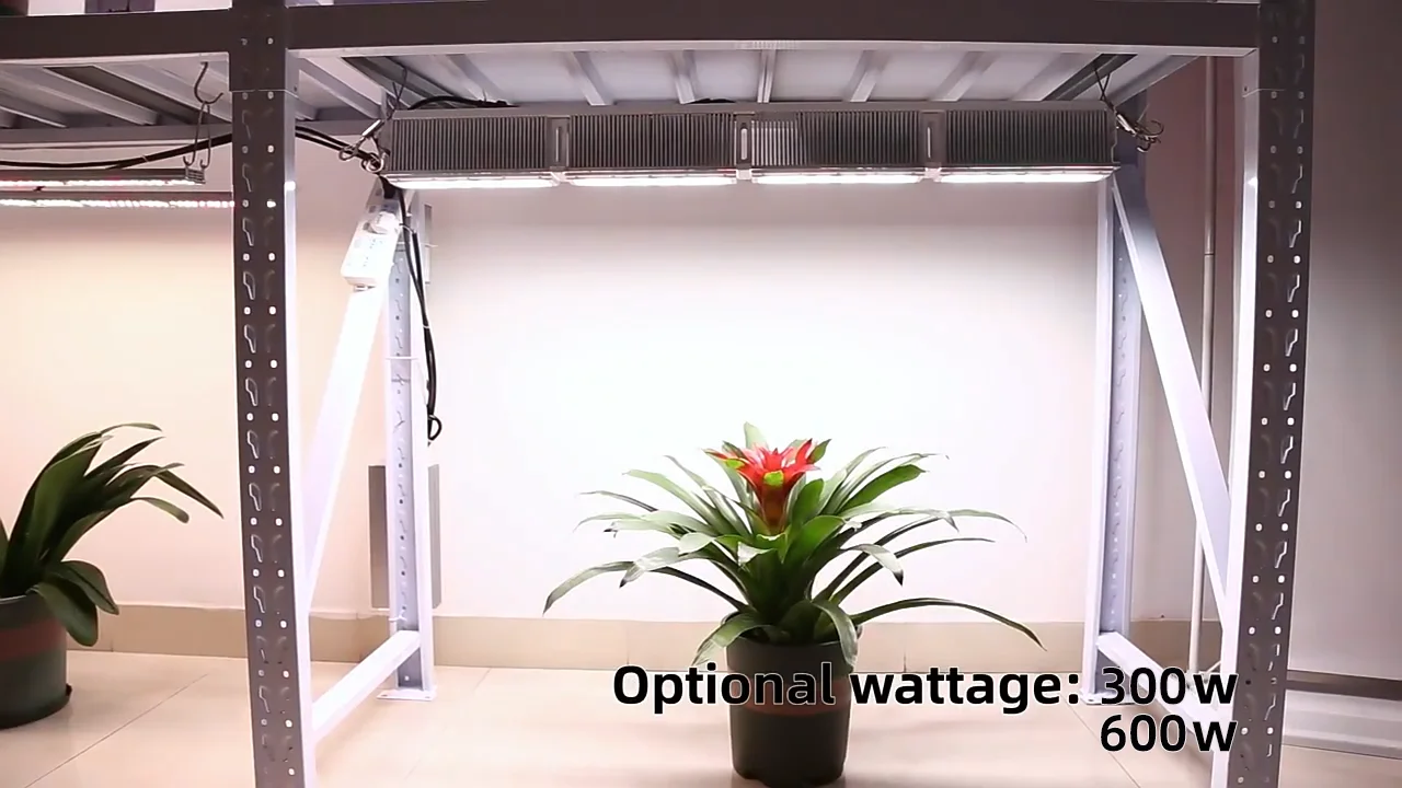 Новый дизайн, тонкий линейный светильник для выращивания растений с регулируемой яркостью, 300 Вт, 600 Вт, полный спектр, светодиодный светильник для комнатных растений