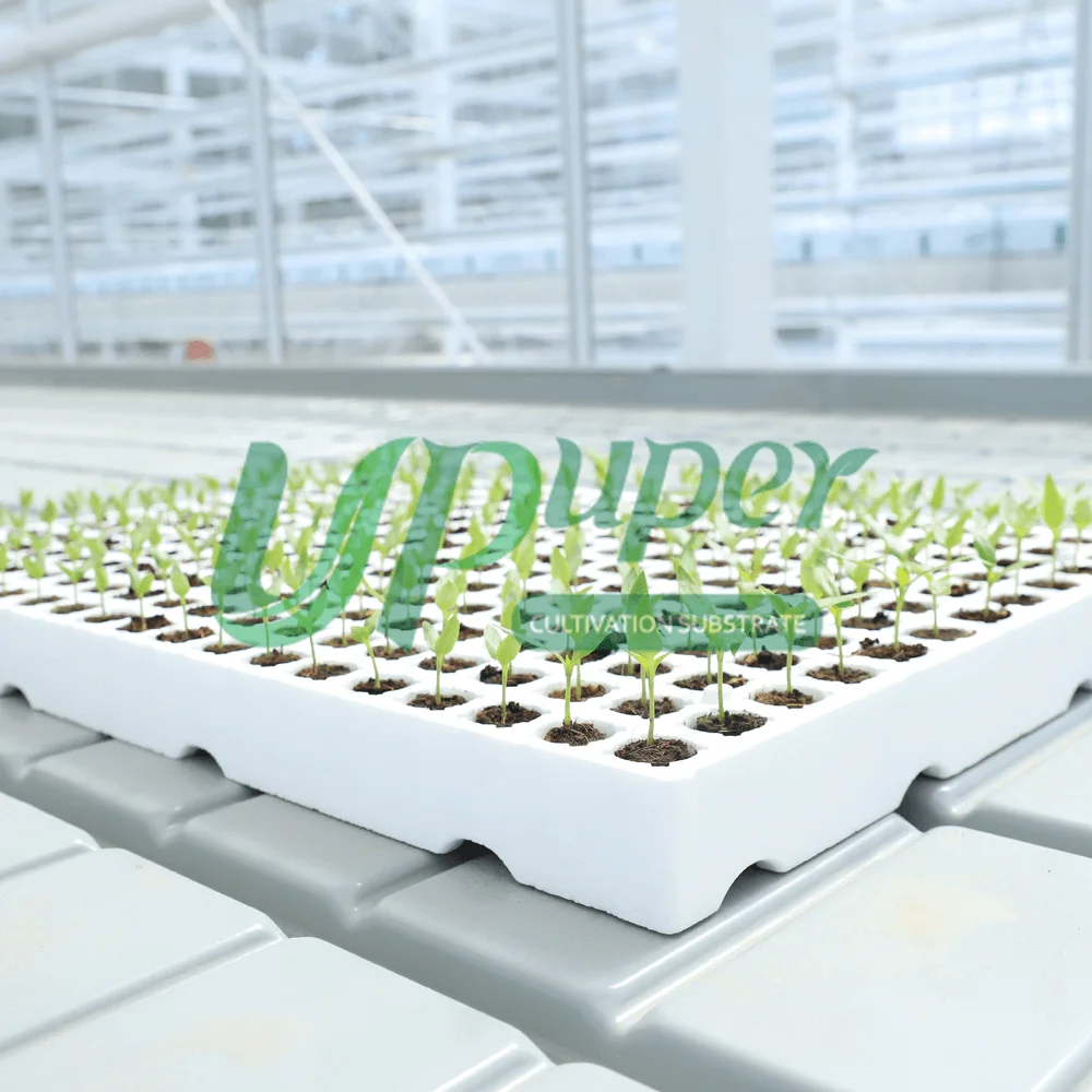 UPuper pre-filled rock wool plugs 240 cells hydroponic tomato polystyrene seedling trays