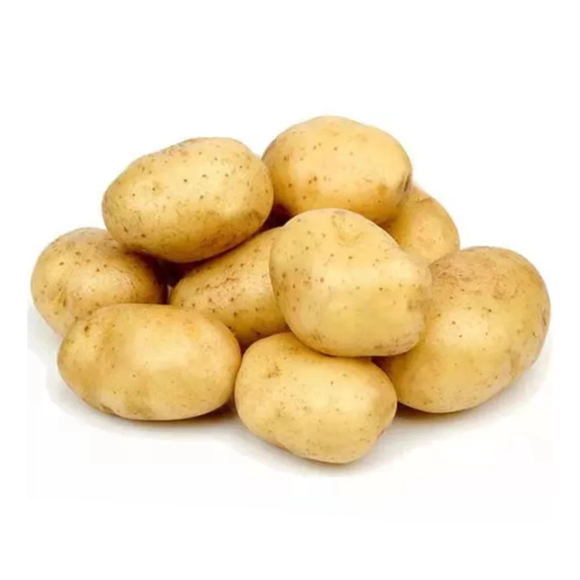 Promotion Price Fresh High Quality Potatoes Chinese Potatoes