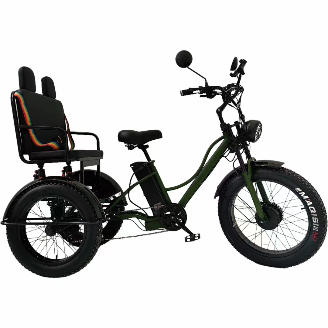 Israel Transport vehicle adult tricycle 3 wheel cargo tricycle,electric tricycle, adult Open Body Passenger electric Tricycle