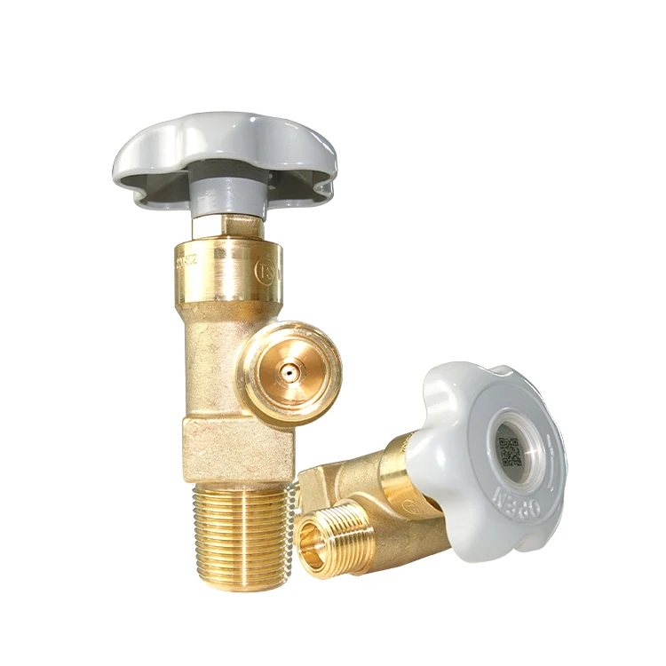 SiAN Full Test Reliable RPV-GV6 Residual Pressure Gas Nitrogen Pressure Reducing Valve Argon Gas Cylinder Valve Helium