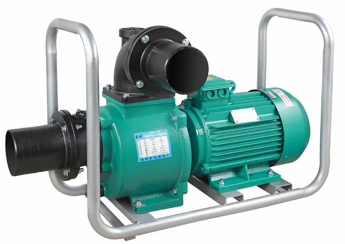High-Pressure Priming Pump with Large Flow Self-Priming Feature DSU TYPE