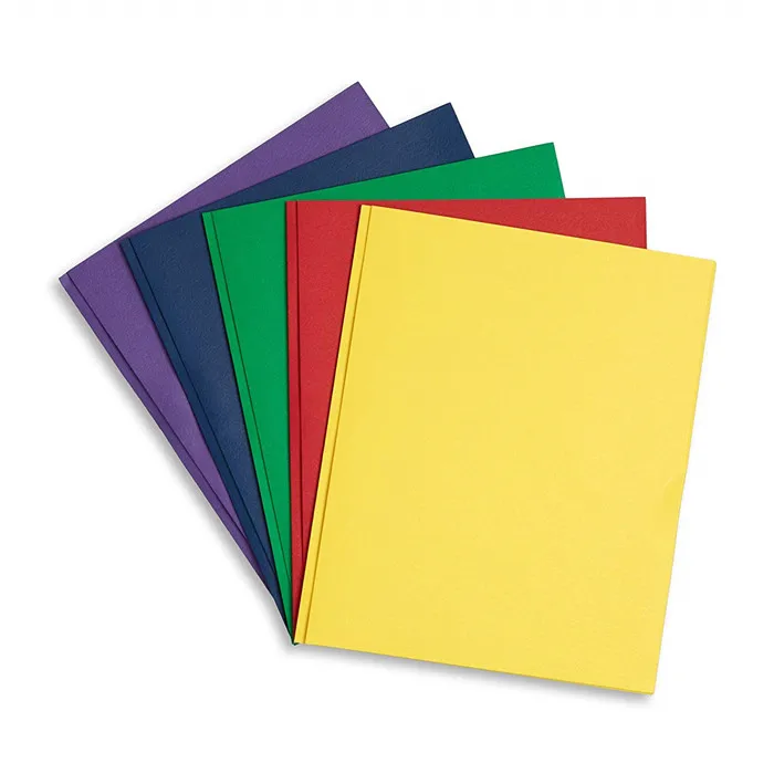 Durable PP Plastic Folder A4 Size File Binder for Business and Office Filing Products