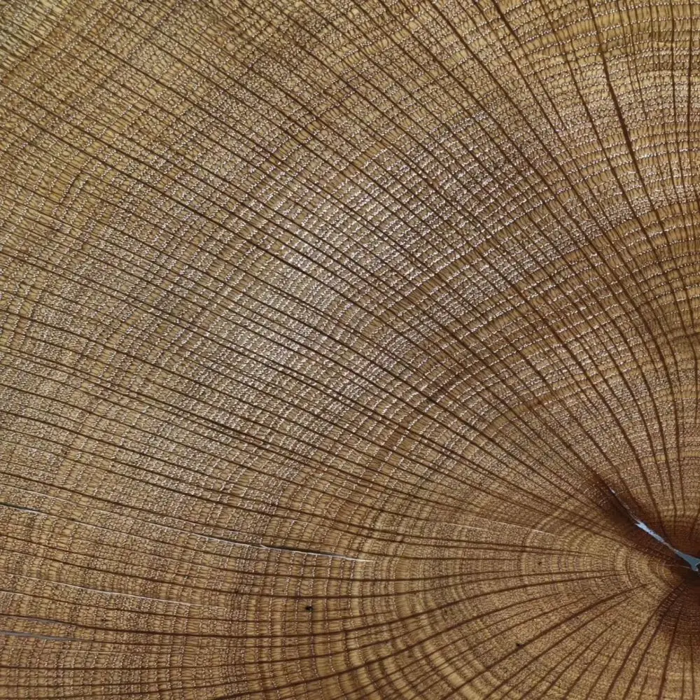 Natural Tree-ring bark wood veneer Handmade Hotel Furniture Decoration Veneers