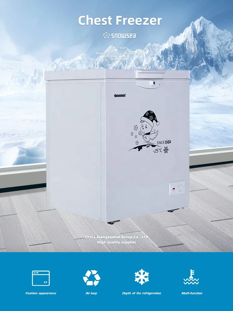 BD-100 snowsea 2021 горячая Распродажа бытовая техника глубокий глубокое морозильное вместилище для