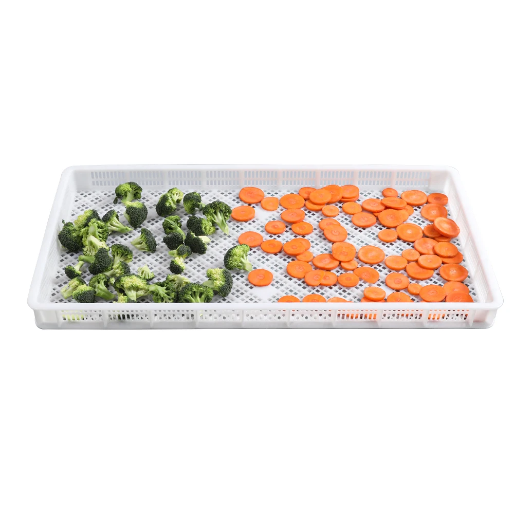 Food grade plastic drying tray for vegetables fruits and seafood