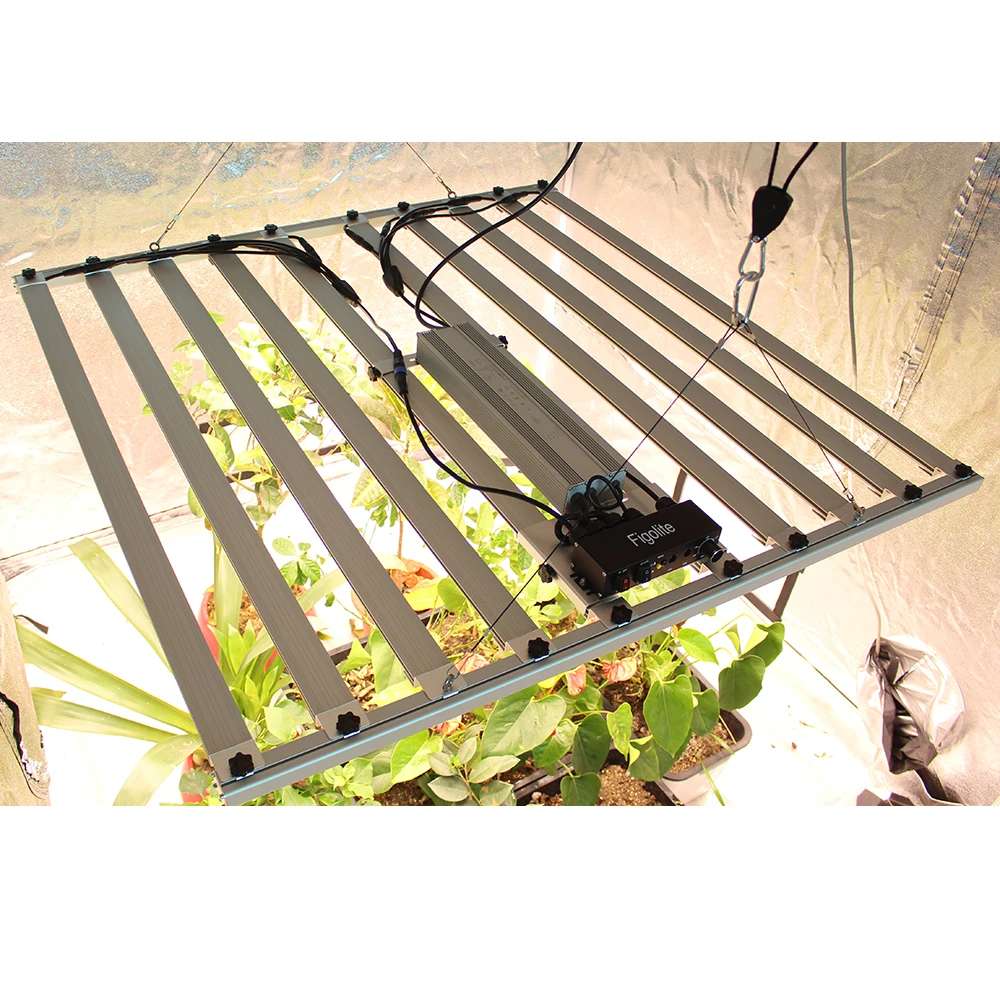 Figolite 1000w led grow light10 bars indoor plant dimmable full spectrum Original LM301H EVO