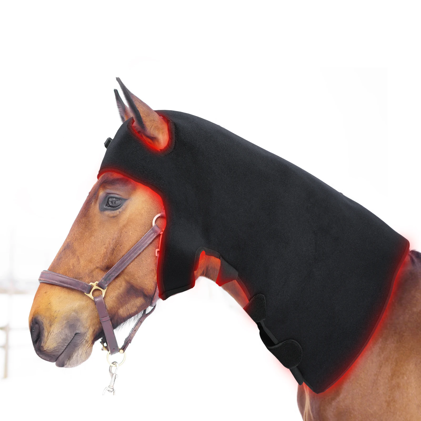 Equine LED Red Light Near Infrared light Therapy Pad Machine For Horse