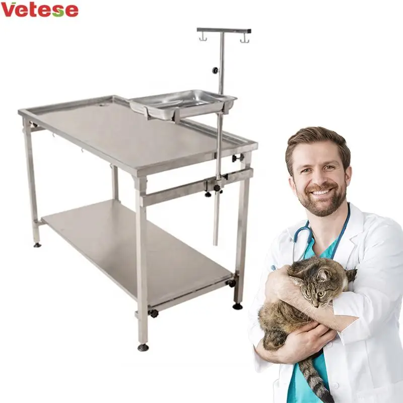 Medical Veterinary Surgical Equipment Animal Dissecting Table Stainless Steel Simple