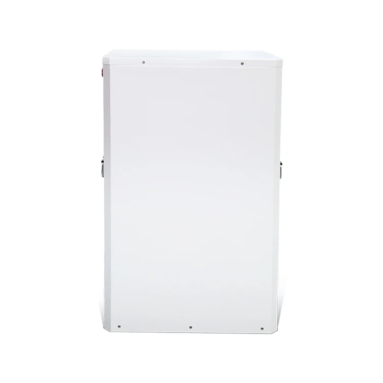 ESG Solar Rechargeable lifepo4 Batteries 300ah 250ah 200ah 150ah 100ah 12v 24v 48V Lithium Iron Phosphate Battery