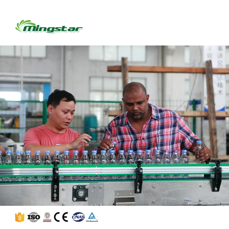 Turnkey Project A to Z production 2000-12000bph PET Bottle Table mineral water bottling plant machine equipment Cost In Nigeria