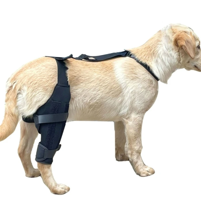 Dog Recovery Suit Abrasion Resistant Pet Wounds Prevent Licking Bite Keep Dry Hip and Thigh Wound Protective Dog Recovery Sleeve