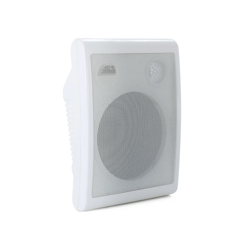 Manufacture Passive Mounted Pa System Wall Mount Speaker for Classroom