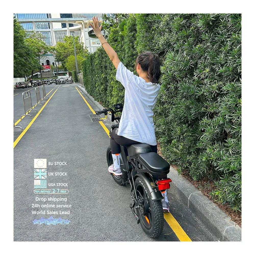 NL склад V20 для взрослых fatbike ebike полная подвеска 20-дюймовый Ретро Горный велосипед дешевый внедорожник