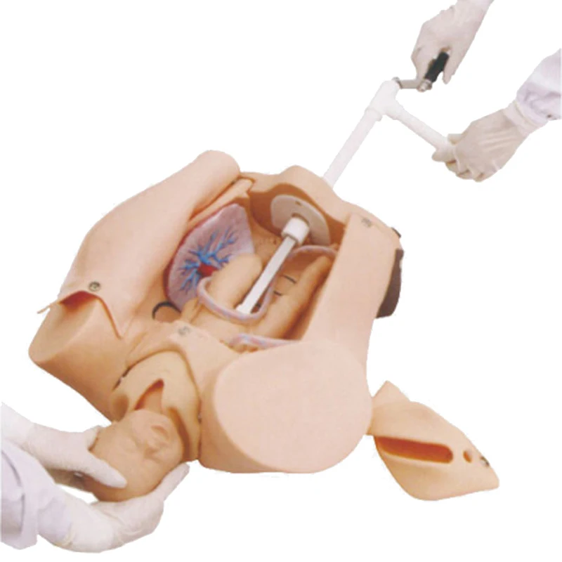 Advanced Gynecological Training Model Medical Teaching Childbirth Hand Cranked Simulator