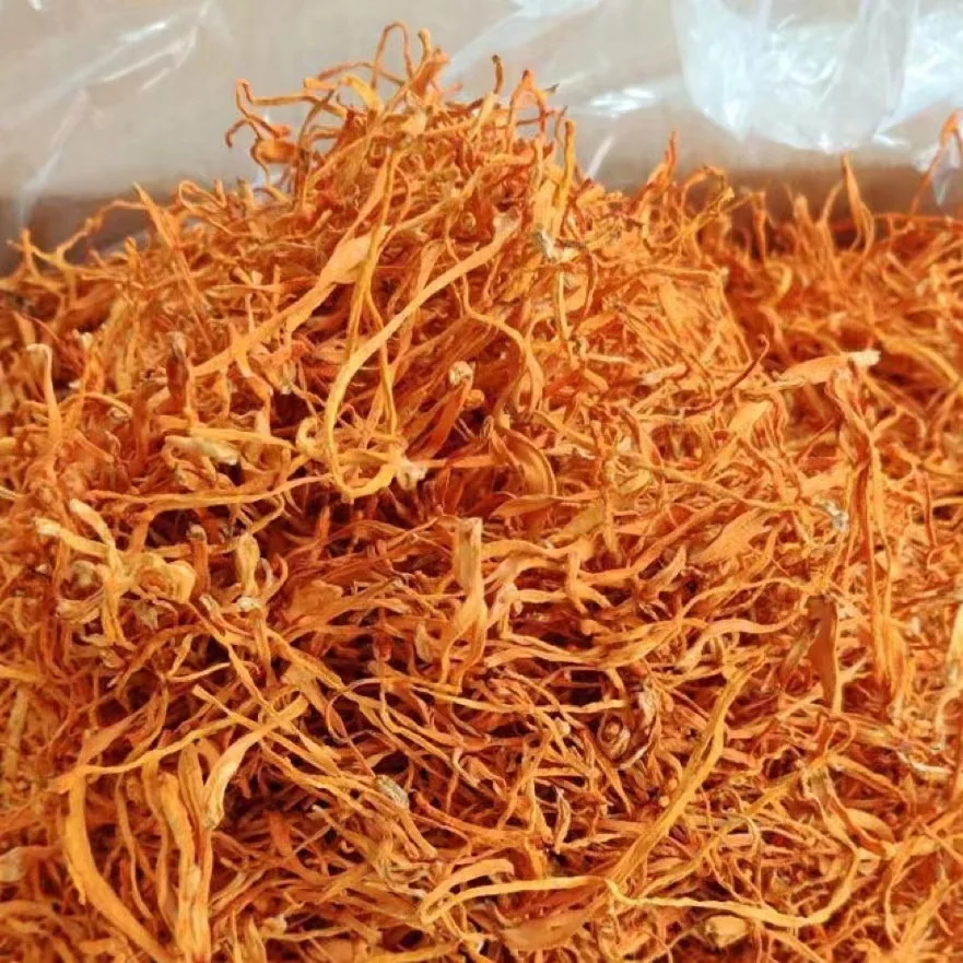 Air-dried Cordyceps Militars  En Boite Buy Cordyceps Flower Sinensis Frozen Cordyceps Militaris Natural
