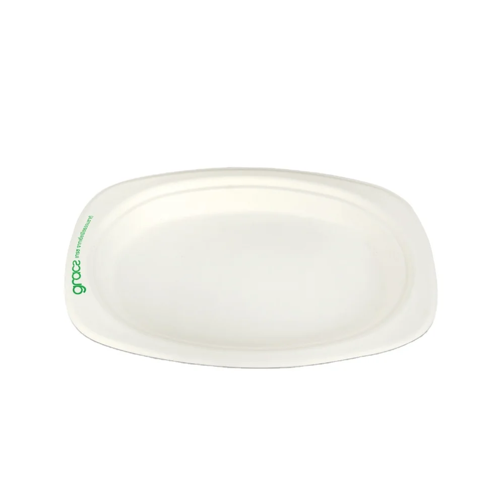 
Gracz P009 Oval Plate 6.5 inch Food Containers Sugarcane Pulp Packaging Compost from Thailand 