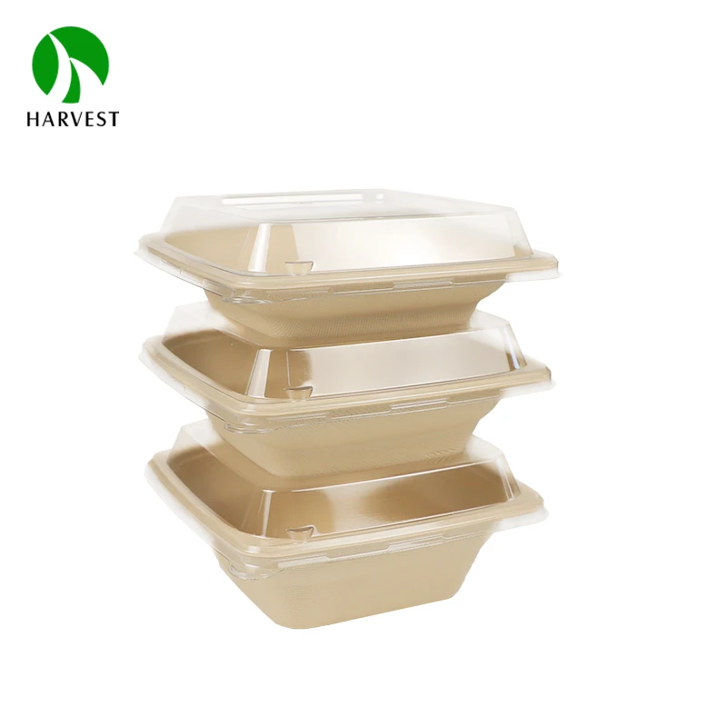 Disposable Bamboo Takeaway Sugarcane 32Oz 24Oz Pulp Food Container