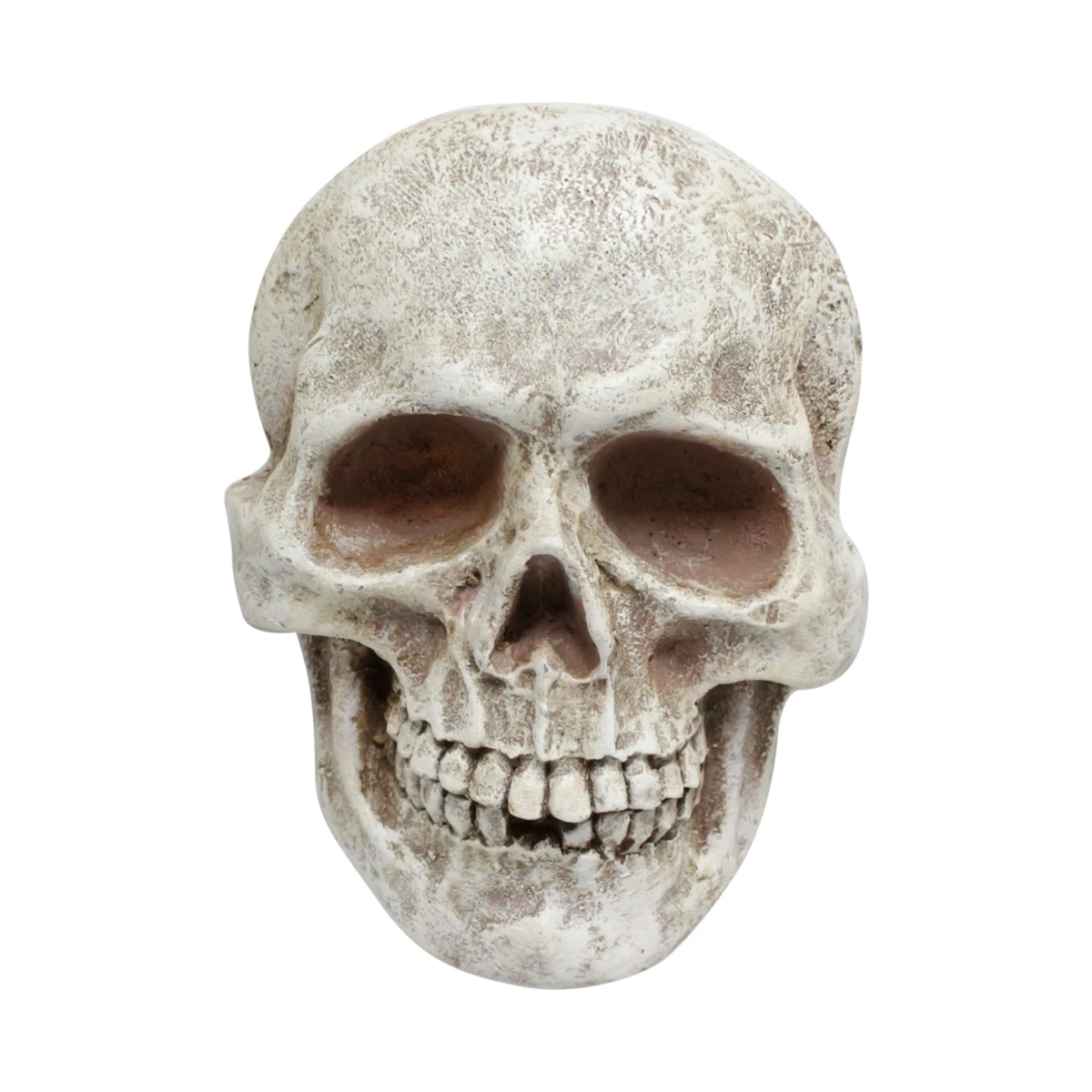 Wall Hanging Customized Size Human Bone Table Top Skeleton Head Home Halloween Decor