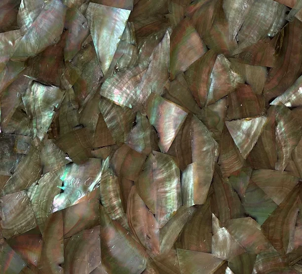 Factory directly supply natural sea shell  black/white Mother Of Pearl shell sheet  with white /black backing for home decor