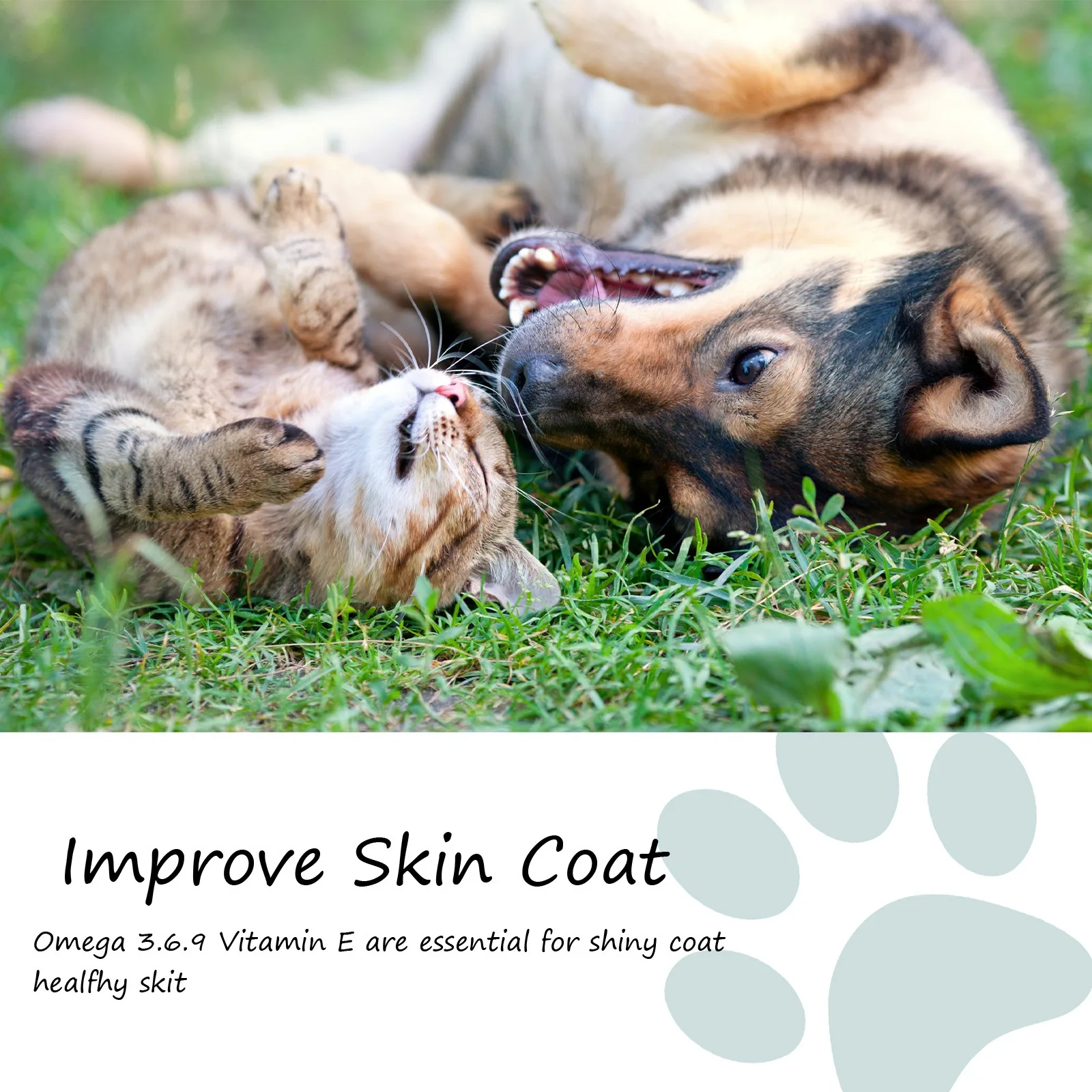 New Arrival Pet Hemp Seed Oil Pet Cat Pain Relief Care Hemp Seed Oil Cats and Dogs Boost Immunity