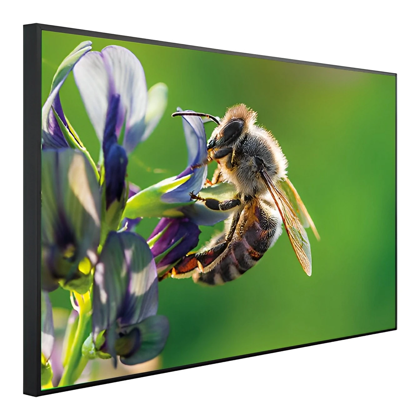 Cheap Custom 720W 120*60cm carbon crystal heating panel with wifi for living room,infrared heater panel