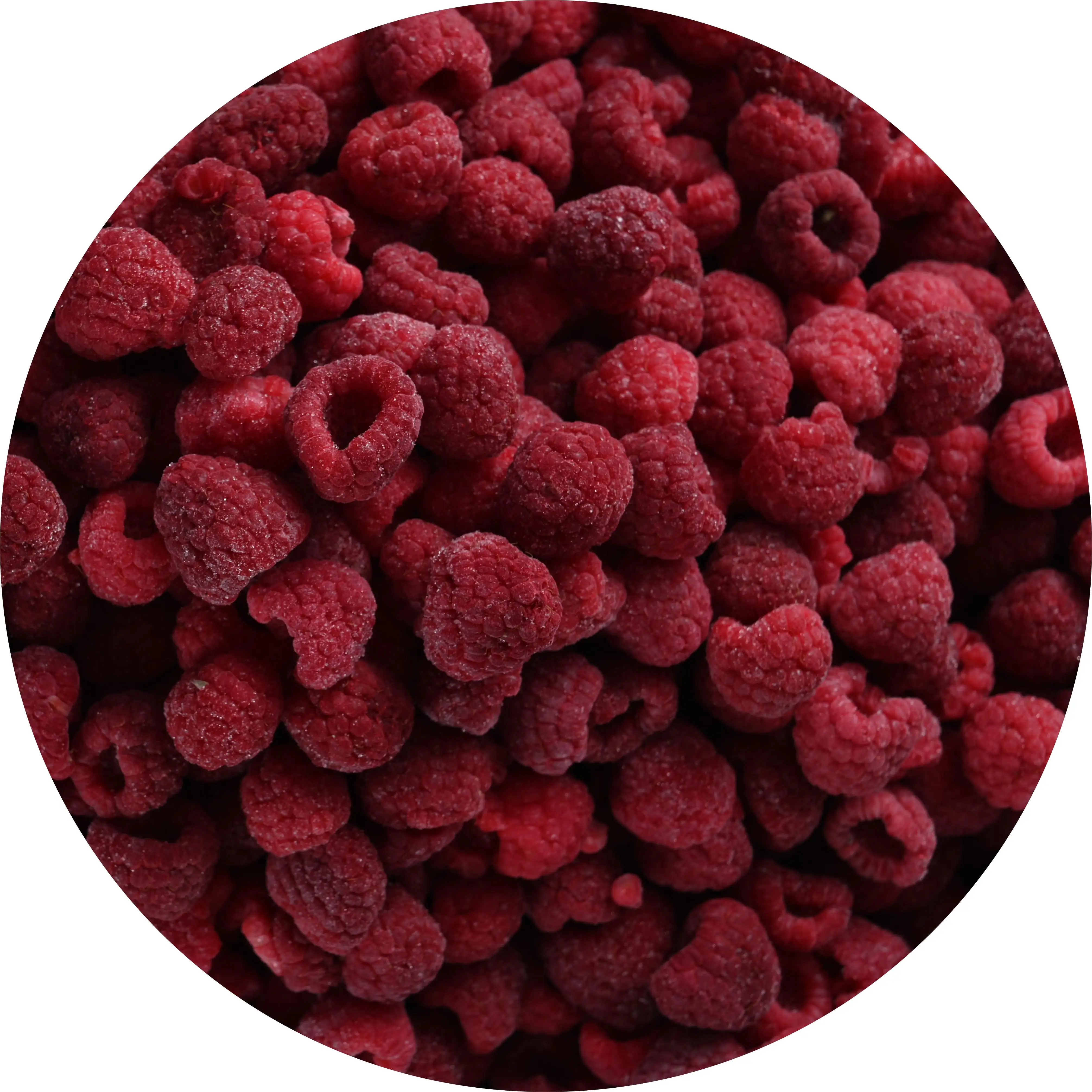 Bulk IQF Frozen Raspberry  Crumble Fruit Price factory direct export frozen raspberry wholesale frozen raspberry