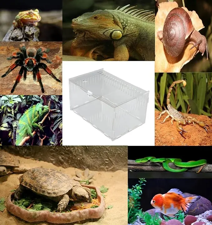 Magnetic Acrylic Reptile Cage Breeding Box Terrarium Tank Clear Feeding Habitat Scorpion Lizards transparent Acrylic Insect Box