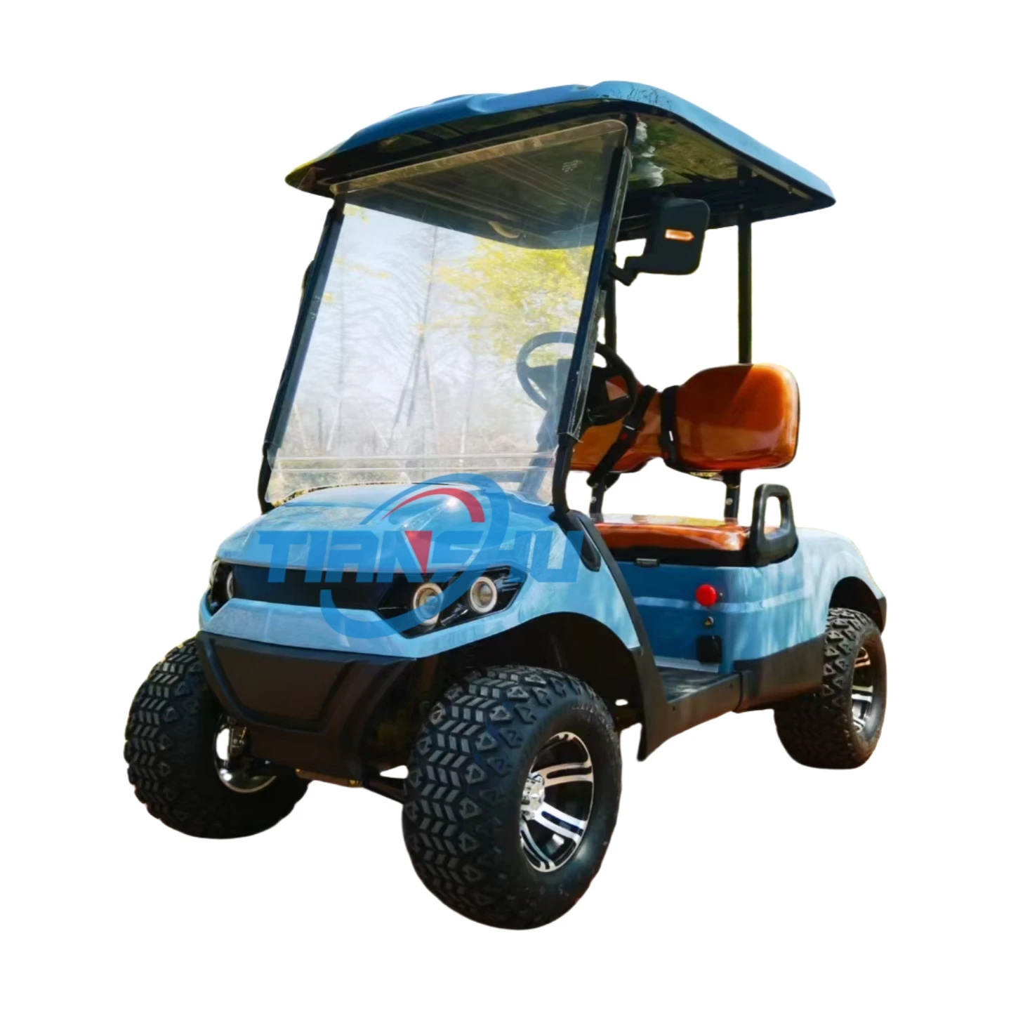 Tianshu Ce Gasoline golf cart with Oil Cooler 2 seat Gas 300CC Oil Cooler Steel Free custom logo 15L Fuel tank capacity