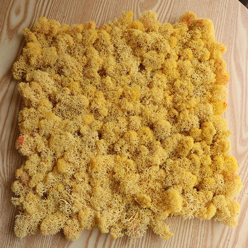 factory wholesale natural preserved reindeer flat moss panel for wall decoration