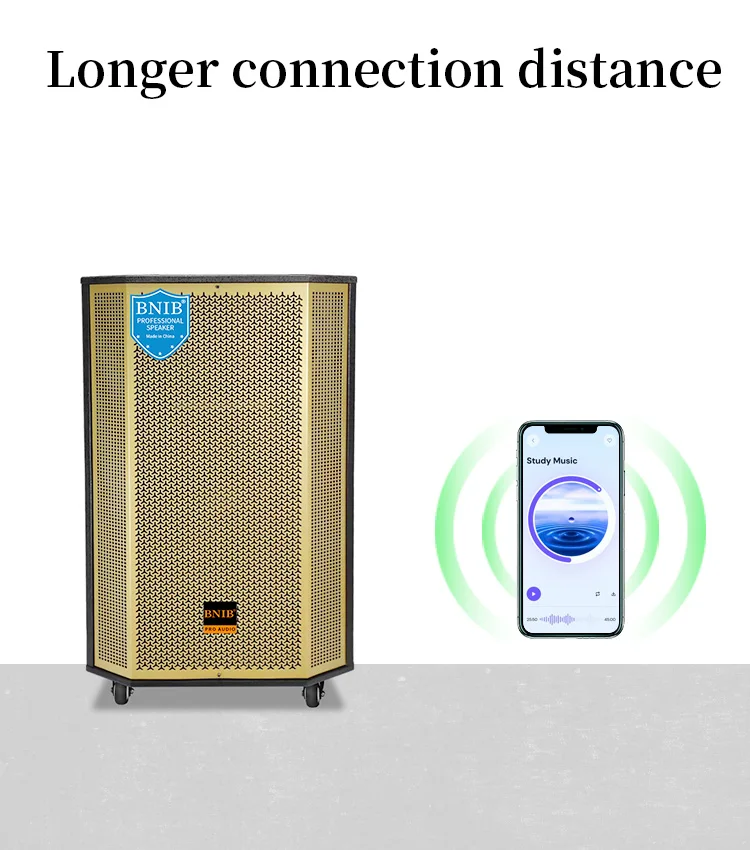 New 2022 Loa Bnib Powered Active Wooden Speakers 10 Inch Woofer Speaker Price Speaker Stage Wireless For Party