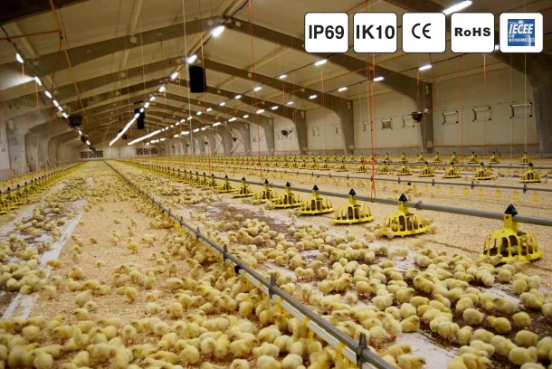 130lm/w  DImmable Waterproof IK10 szAMB Tri-proof LED Light with 0-10V/Dali/triac dimming for Poultry Farm