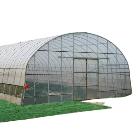 Low Cost Plants Growing Single-span Cheap Large Size Tunnel Agricultural Greenhouse For Tomato Growing
