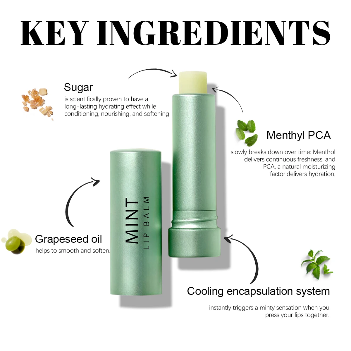 OEM Cruelty Free Recyclable Natural Moisturizing Fresh Mint Lip Balm Long-Lasting Color Changing Lip Balm Private Label