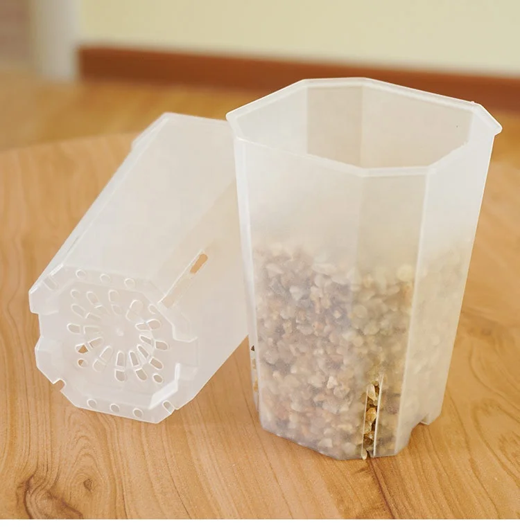 garden supplies cheap plastic gardening clear transparent pot root square octagonal pot orchides 12cm orchid pot plant