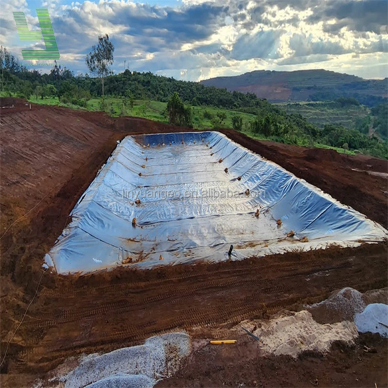 Factory Supply Hdpe Geomembrane Roll Size Price For Fish Farm Pond Liner