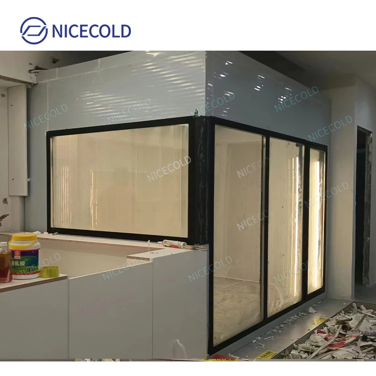 New Trend Glass Door Display Cold Room Walk In Cooler Freezer for Flower Beverage Drinks